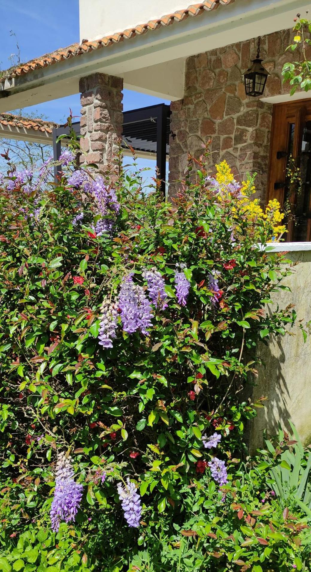 13 Bees Bed & Breakfast Confolens Exterior photo